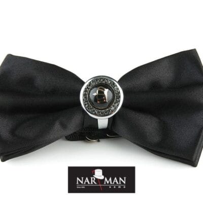 Papion negru 8